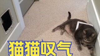 国外趣味视频集锦，看完觉得整个世界都是那么欢乐！#150