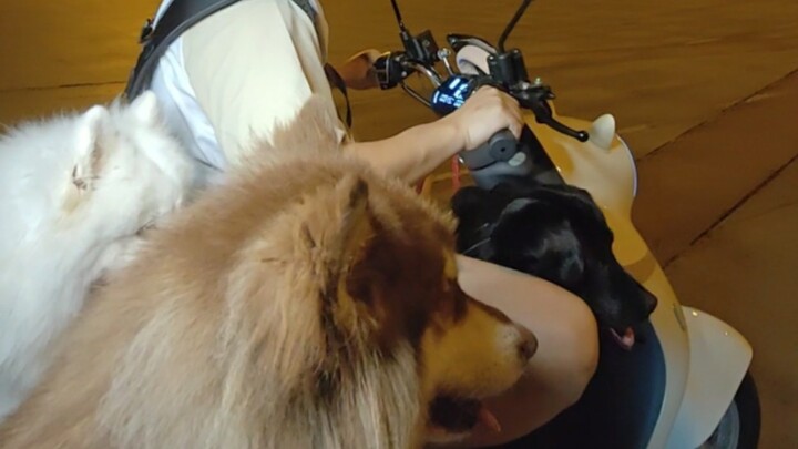 دوو دوو: برودة تخلّج القلب، وروح تحلّق في السماء