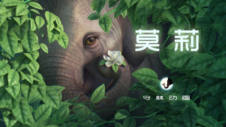 原创动画短片《莫莉》关于一头小象的故事