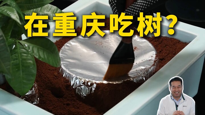 Đặc Cừ Thám Điếm | Nhà hàng duy nhất ở Trùng Khánh lọt top 8 năm liên tiếp, hương vị thực sự thế nào