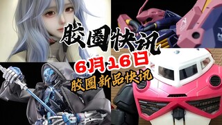 【6月16日胶圈快讯】