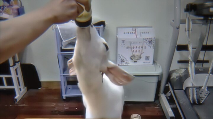 "Wine taste reveals one's character."