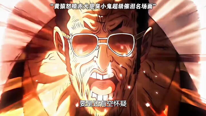 Aangyuan angrily berates Akainu in a tear-jerking iconic scene!