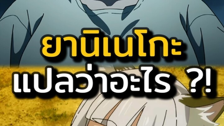 ชื่อของยานิโกะแปลว่าอะไร #yanineko