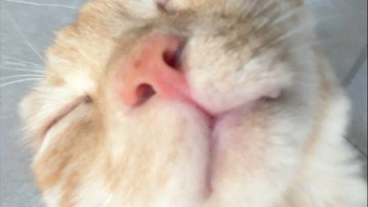 Đưa thẳng cho Hoa Hoa đến mức lóa mắt luôn!