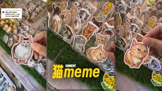 猫咪因一网打尽（我网真的上太多了）
