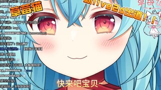 【草莓猫Taffy】💓还是那个黏人的小宝贝呀~~💓（l2d新衣可爱时刻）