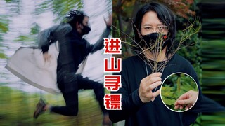 今年虫满为患，演示捉虫为镖，折枝为箭