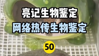 【Liangji Bioassay】Network Hot Biological Identification 50
