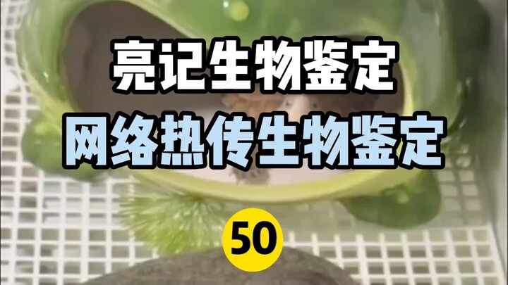 【Liangji Bioassay】Jaringan Identifikasi Biologis Panas 50