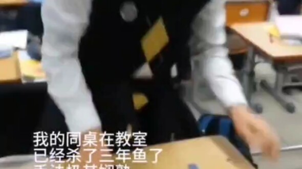 My classmate’s been “killing fish” in the classroom for three years now.