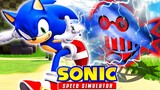 WARNING! *DO NOT* Act This Way in Sonic Speed Simulator..Or Roblox I Guess