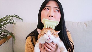 This cat tongue comb has barbs and is designed for licking cats, and I have a bold idea...