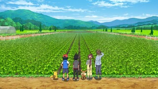 Pokemon Tập 1142: Trải nghiệm thực tế làm nông! Digda ở đâu?!