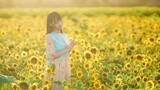 【Xiaomier】Sunflower（まなこ.ver）
