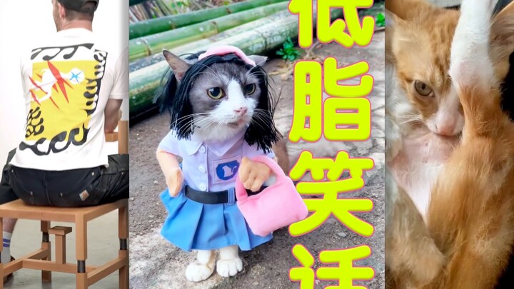 Lelucon rendah lemak 🧚‍♀️: Sesi Terapi Kelompok Pertamaku 💀💀💀