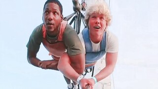 又胆小又菜又爱看过山车