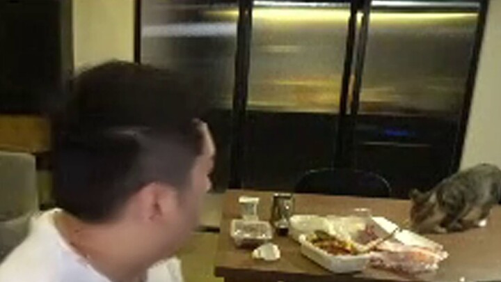 Koleksi Little Pi Single Defense World Hunter! Pete Pig Melindungi Makanan