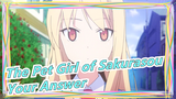 The Pet Girl of Sakurasou|[Your Answer] You love Shiina? You just hunger for her body!
