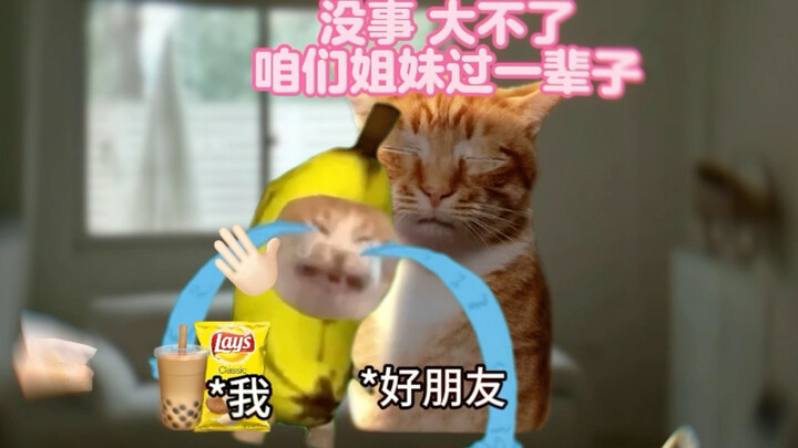 Cảm ơn bạn đã trở thành người bạn tốt của tôi