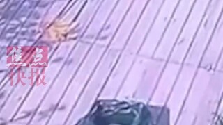 男子离开几分钟，回来发现钓的大鱼不见了，调取监控才发现…