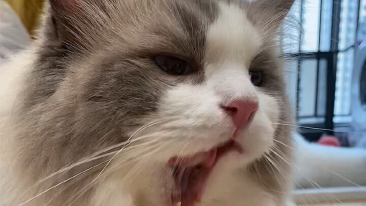 Wan: Who gets it? I got bought home by a broke loser.