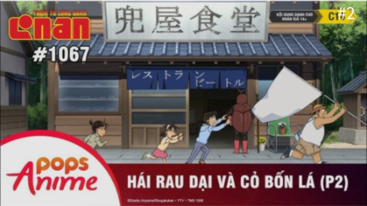 Thám tử lừng danh Conan tập 1067-Hái rau dại và cỏ bốn lá(P2)2|Bản lồng tiếng|KinKin Anime