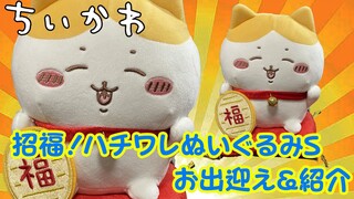 ＜ちいかわ＞招福！ハチワレぬいぐるみSの紹介♪