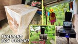 Thailand BOX design!! ok KAYA? Sound Check | VLOG
