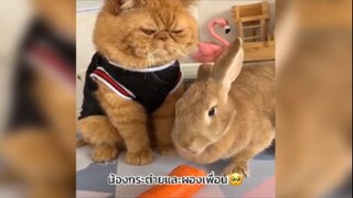 มีเพื่อนแล้วไม่เหงาเลยเนอะ