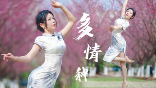 是我在做多情种—旗袍翻跳 ◆多情种◆