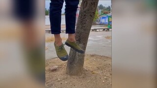 2 anh này tấu hài à 😂