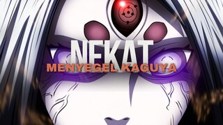 AMV BERANI - NEKAT MENYEGEL KAGUYA