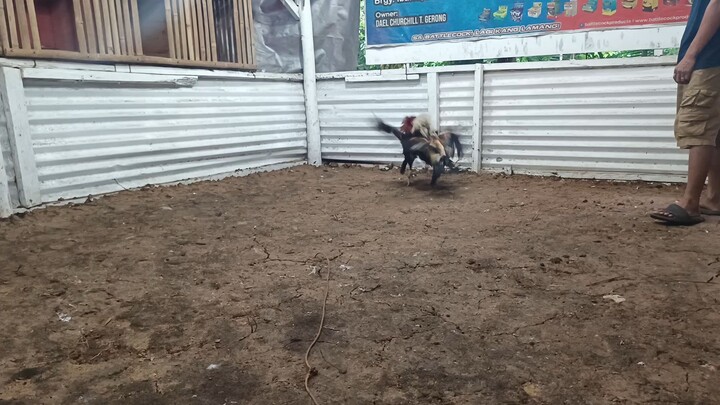 august 17, 2025 sparring session