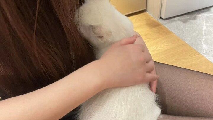 كيف أدّت حادثة الجوارب الحريرية للنجمات إلى ظهور هؤلاء الشخصيات البارزة؟