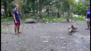 YLH 8 MONTHS OLD NAPA INGAT NILA MAG LARO 👌