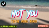 NOT YOU ‼️Alan Walker | Dj Arjay Ramacula Remix 2022