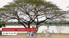 ตามเรื่องตามรอย  ตามรอย "เธอกับฉันกับฉัน" ที่ นครพนม วันอาทิตย์ที่ 8 มิ.ย. เวลา 09.30 น.