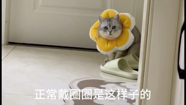 套在腚上出来的那一瞬间，我笑的想死，谁懂我这狗屎一样的笑点啊