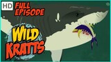 Wild Kratts / Stuck On Sharks, / HD - Full Episode /