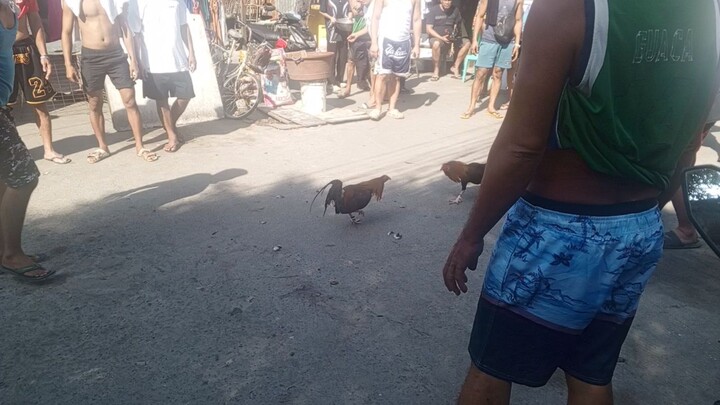 5ksweater loss... Dec. 25 2025