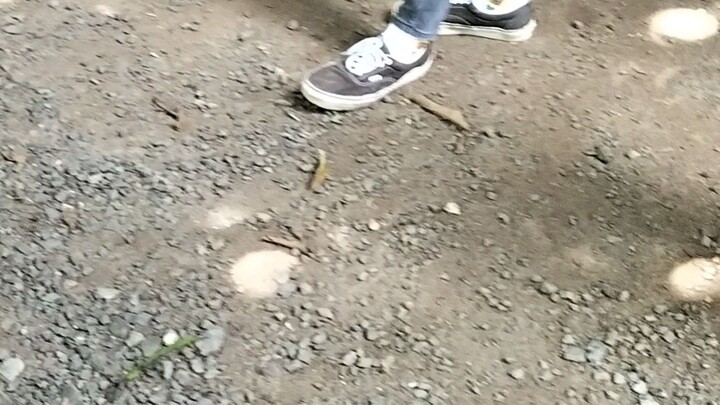 SWI team building gogogo Blue team