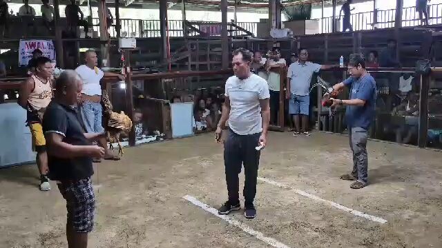 2hits ulotan JJV GF 1st fyt win
