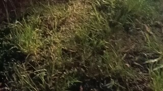 Basta maintenance kahit Anong Oras lumabas yong ticket, pupuntahan talaga