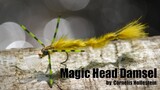Magic Head Damsel  - Cornelis Hollestein