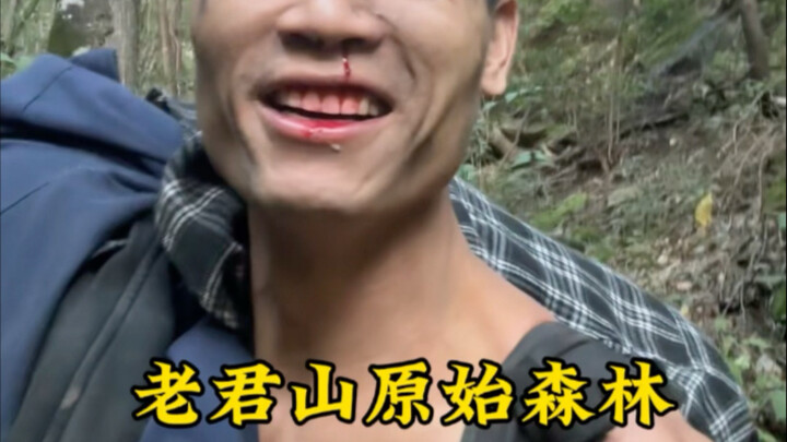 上演荒野自助餐