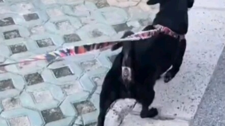 This is just too hilarious, hahaha!