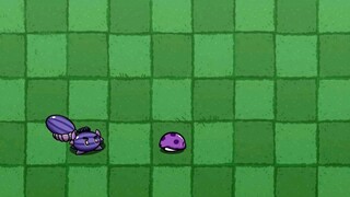 小火龙救胆小菇