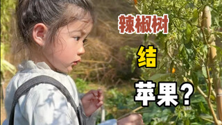 Grandpa’s chili tree has turned into a spirit! 😂 If only it had a kindergarten diploma...