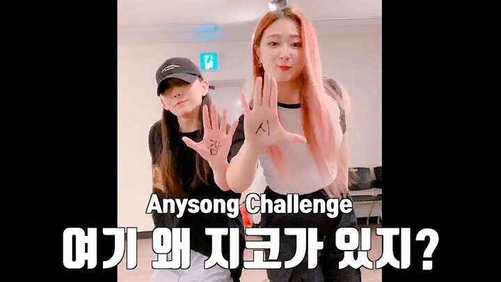 【MTY Dance Studio Yurim+Sung】ZICO - Any Song【Dance Challenge】